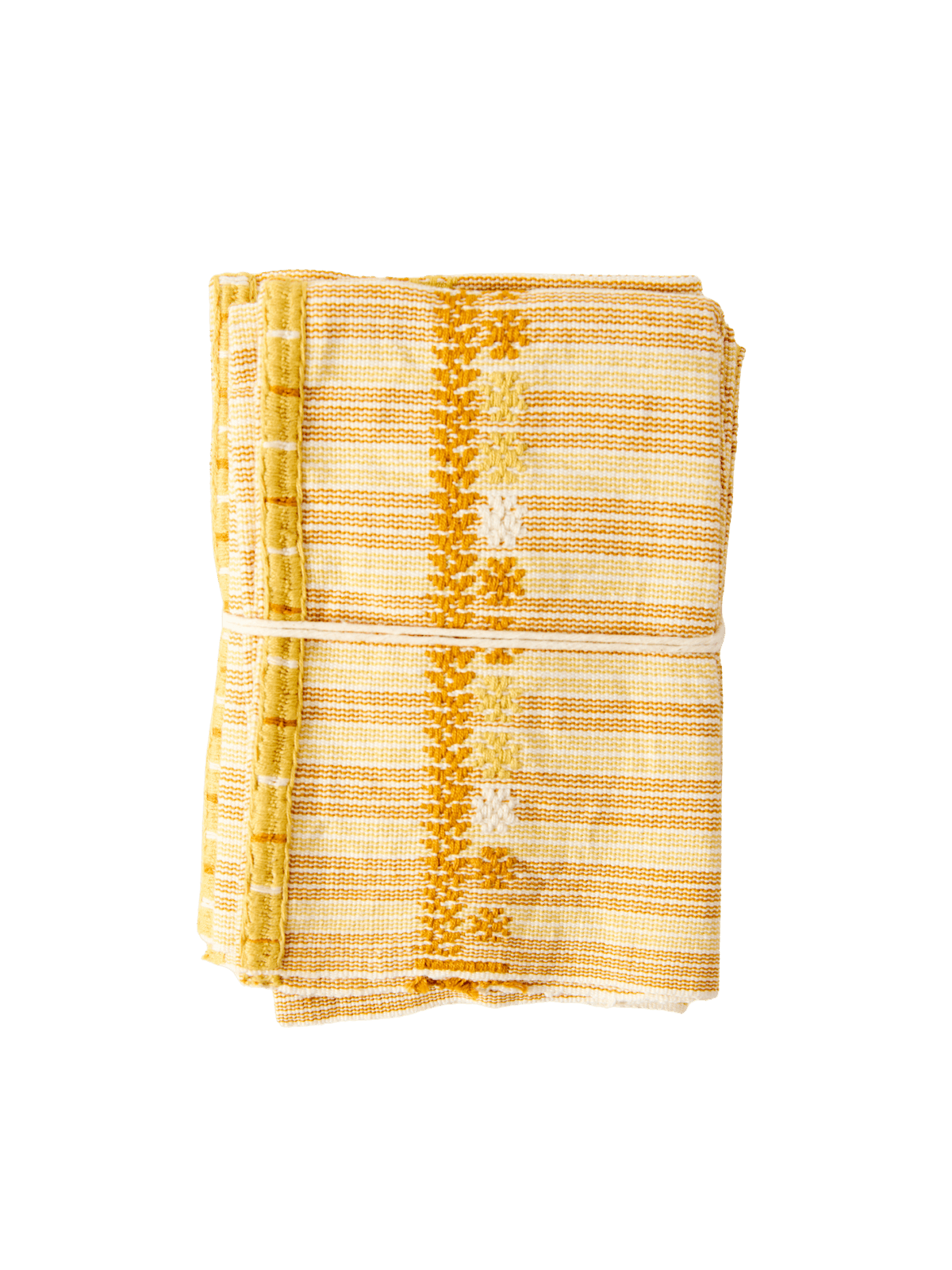 Individual Aldama Primitivo – Set of 4 Handwoven Cotton Placemats in Multicolor from Chiapas