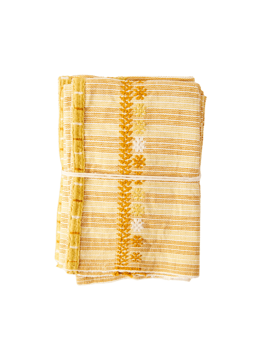 Individual Aldama Primitivo – Set of 4 Handwoven Cotton Placemats in Multicolor from Chiapas