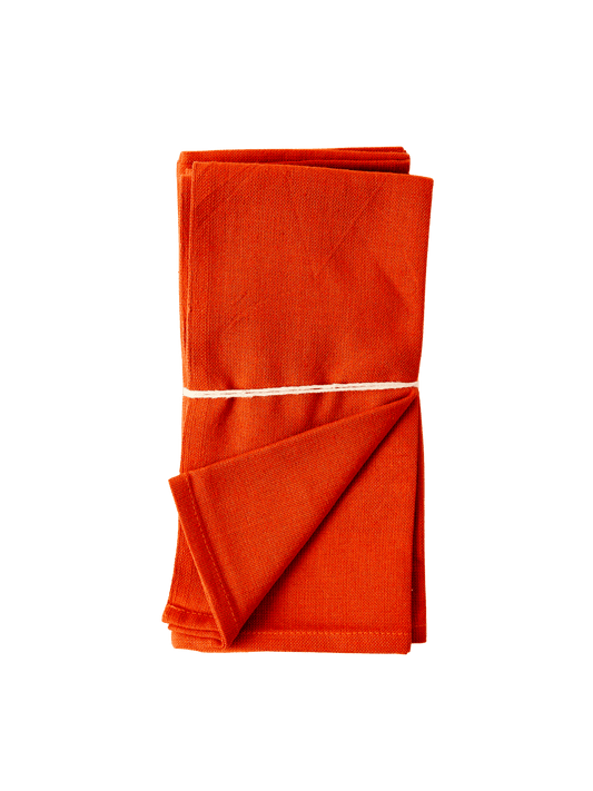 Servilleta Escalera Felipa – Set of 3 Handwoven Napkins in Barro from Chiapas